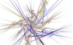 Apophysis-080614-7-white (2).jpg